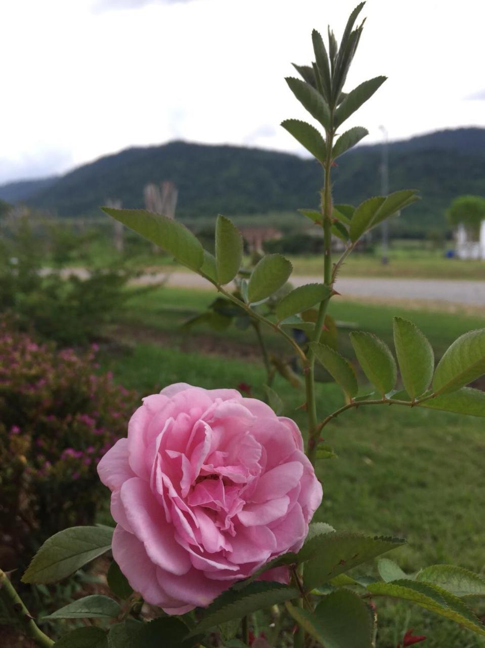 Samerdrow Khao Yai Mu Si Esterno foto